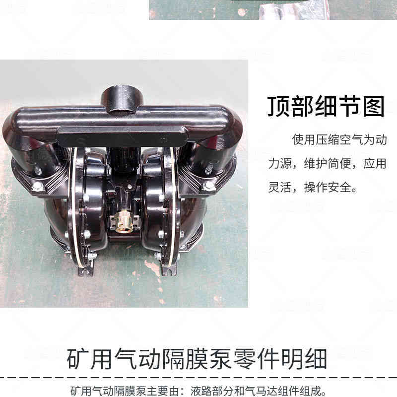 BQG450氣動隔膜泵